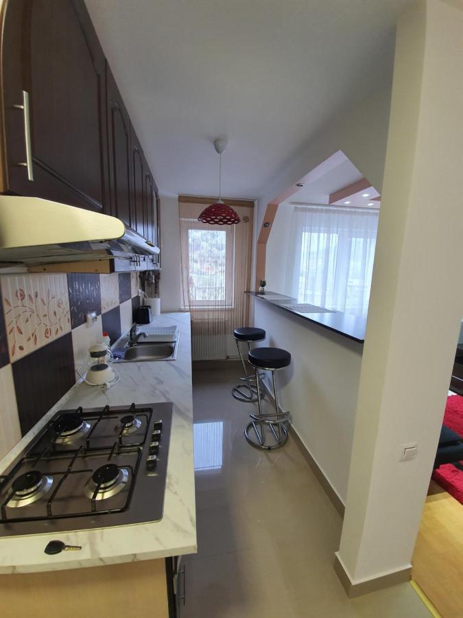 19 Residence Apartment Cavnic Dış mekan fotoğraf