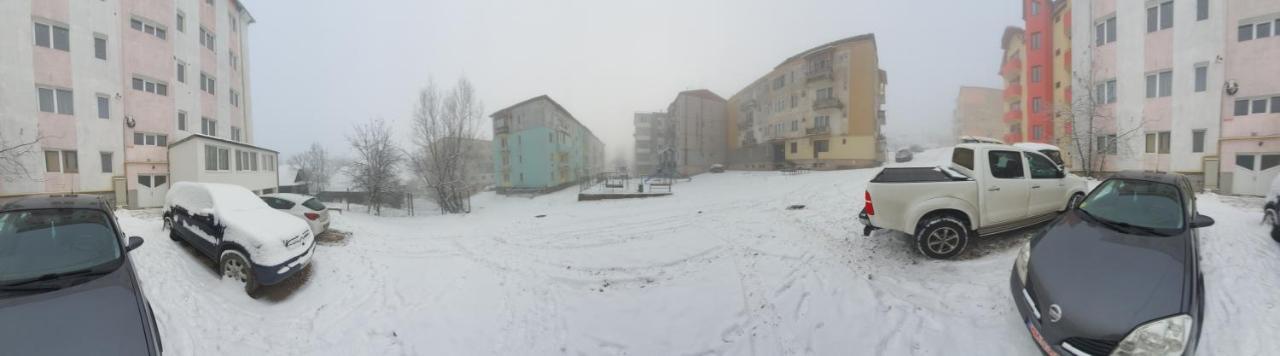 19 Residence Apartment Cavnic Dış mekan fotoğraf
