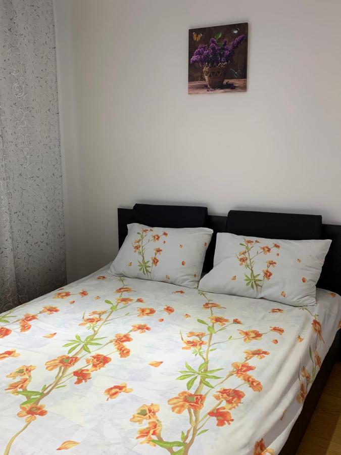 19 Residence Apartment Cavnic Dış mekan fotoğraf
