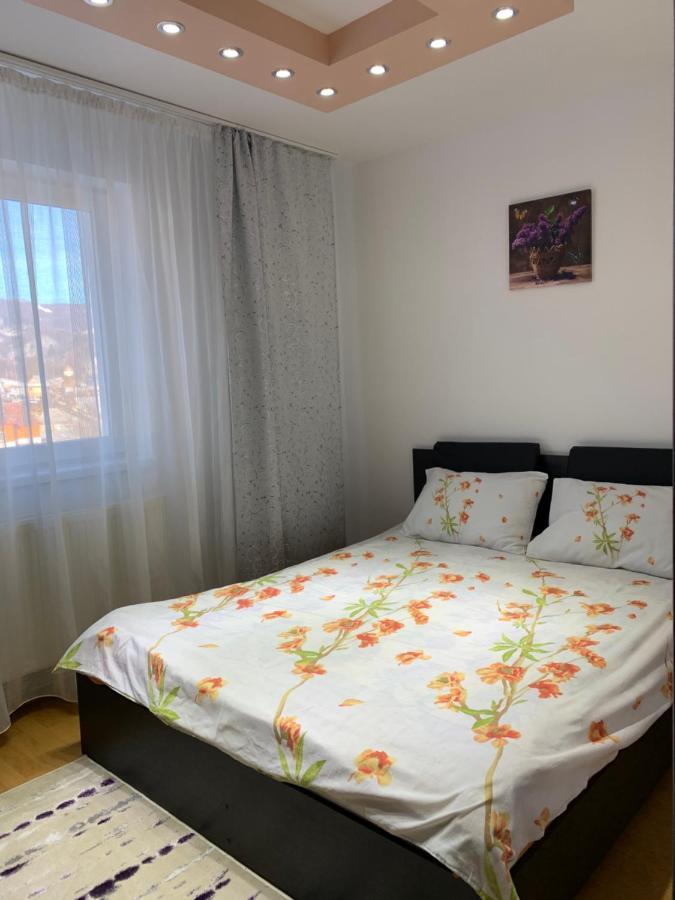 19 Residence Apartment Cavnic Dış mekan fotoğraf